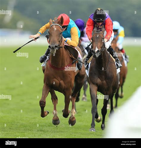 ladbrokes courses hippiques.